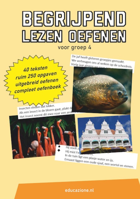 Begrijpend lezen oefenen groep 4