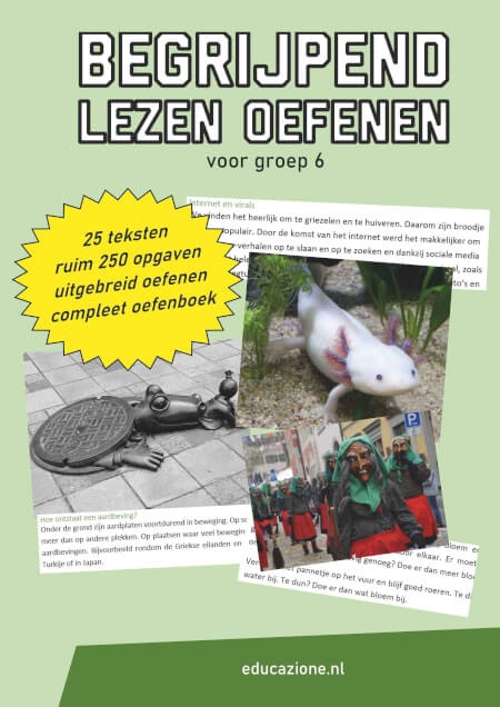Begrijpend lezen oefenen groep 6